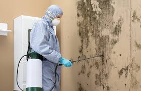 Best Industrial Mold Remediation  in North Massapequa, NY